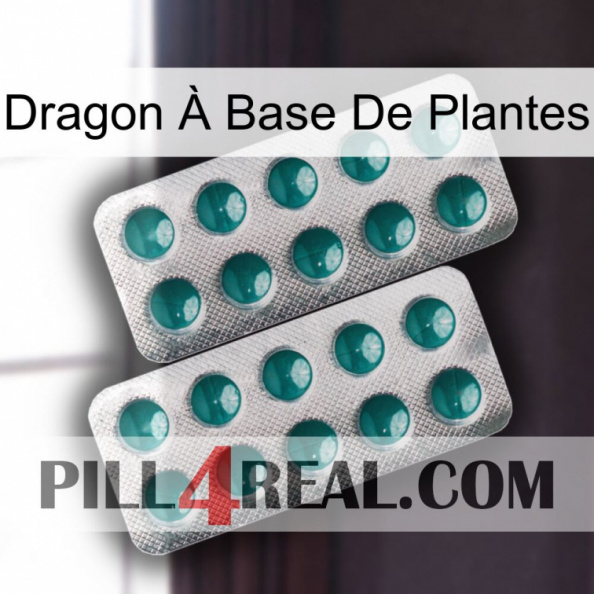 Dragon À Base De Plantes dapoxetine2